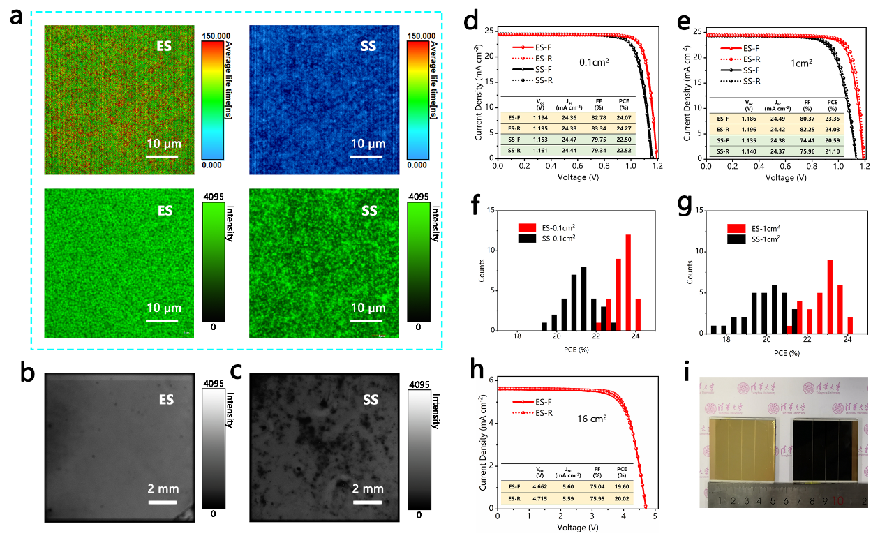 20230125-电机系易陈谊课题组《Adv. Mater.》:24%效率@1cm2钙钛矿太阳能电池-无-不同工艺制备的钙钛矿薄膜和器件的光电性能表征.png