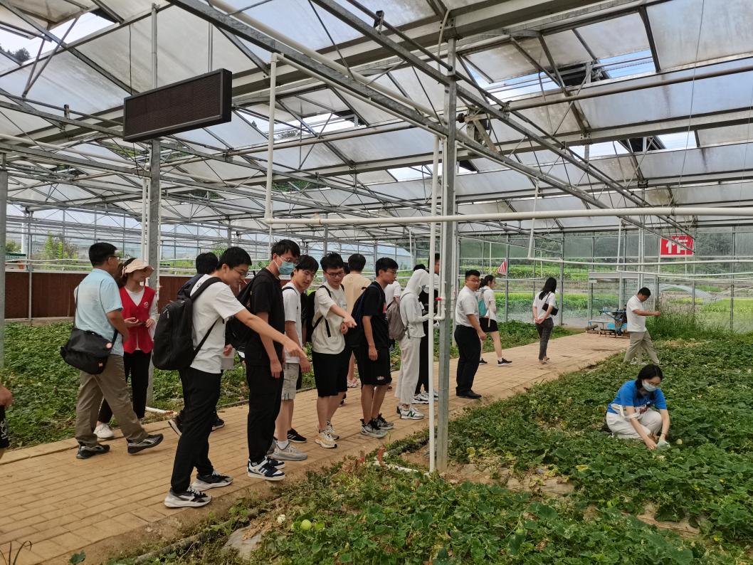 20220808-0814-乐竞首页“林枫计划”师生赴江西赣县区调研实践-马小涵摄-支队师生参观五云镇夏潭村蔬菜研学基地.jpg