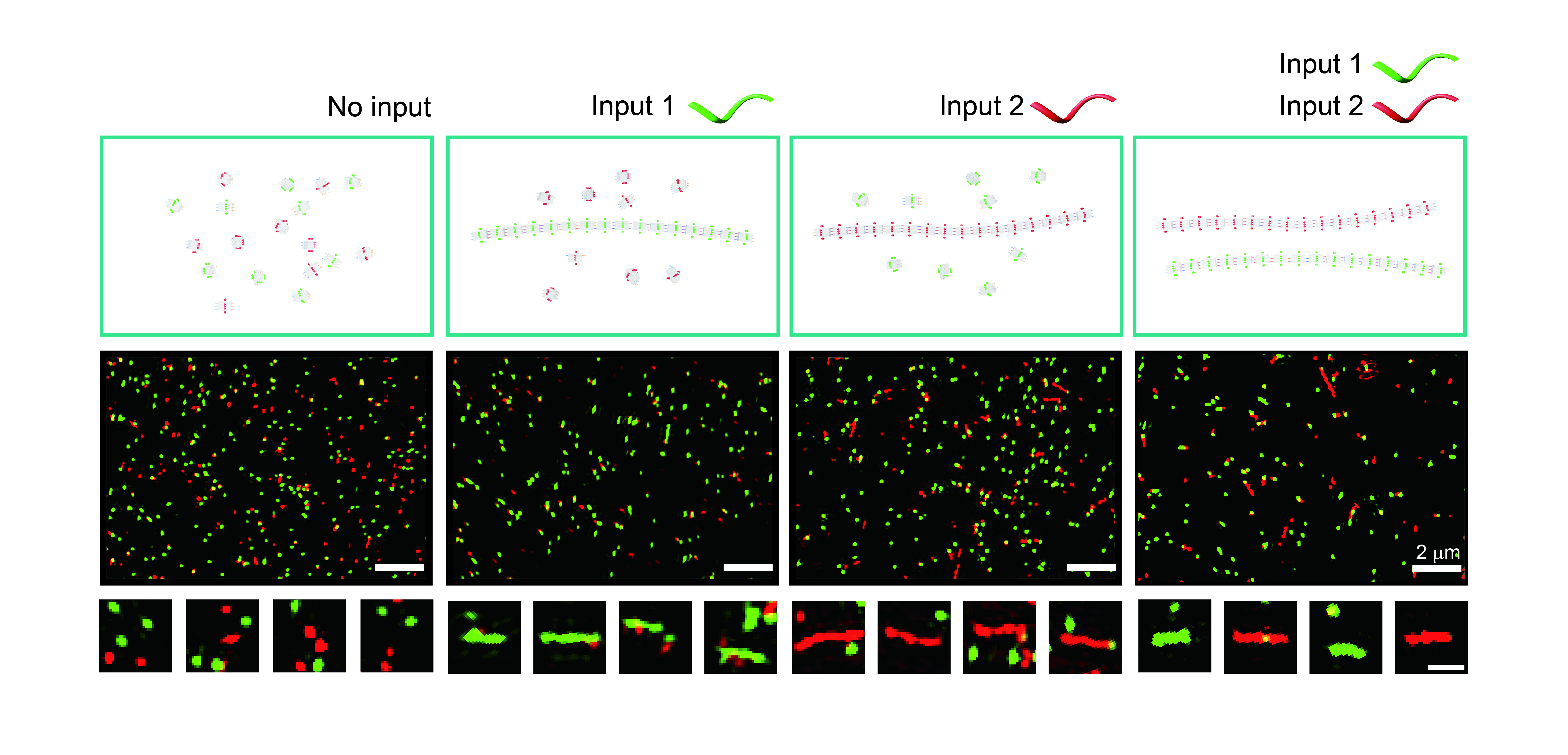20220617-魏迪明-论文-成果照片3jpg 20220617-魏迪明-论文-成果照片3jpg