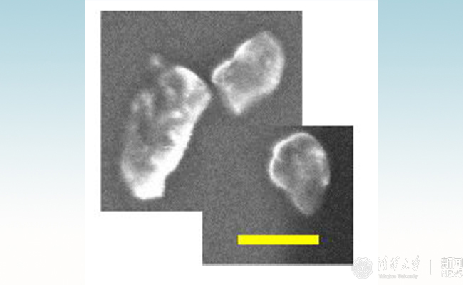 空白背景 - 副本.jpg