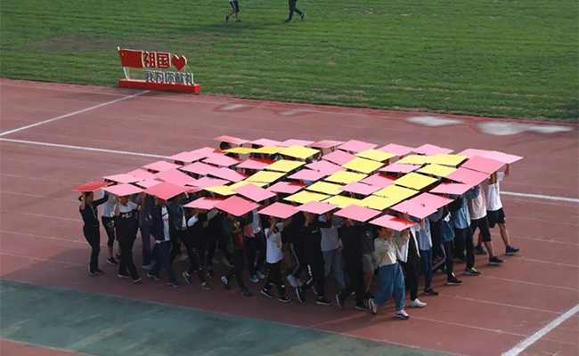 4461561.jpg