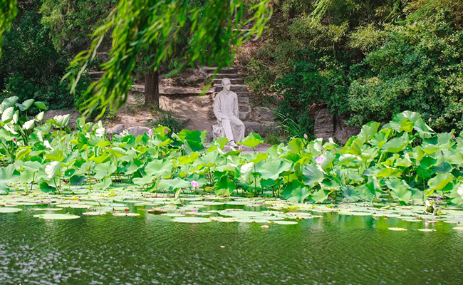 微信图片_20191107094127.jpg